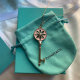 Tiffany Necklace (222)