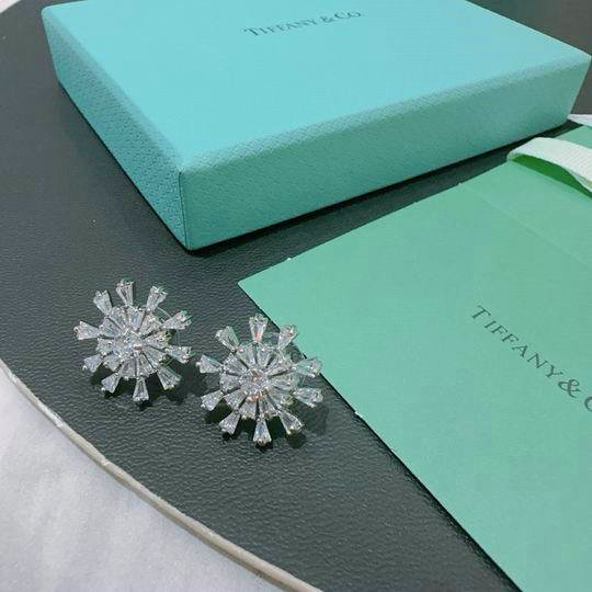 Tiffany Earrings (204)