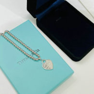 Tiffany Necklace (24)