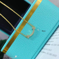Tiffany Necklace (8)