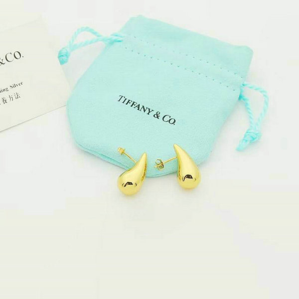 Tiffany Earrings (156)