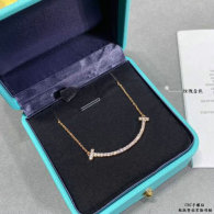 Tiffany Necklace (3)