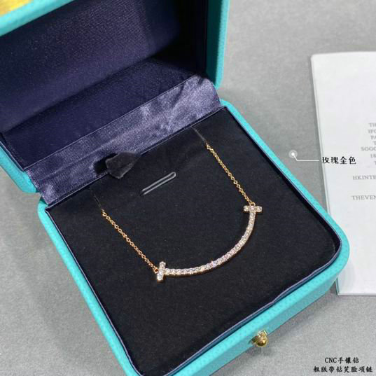 Tiffany Necklace (3)