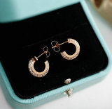 Tiffany Earrings (81)