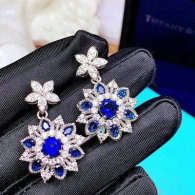 Tiffany Earrings (12)