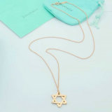 Tiffany Necklace (174)