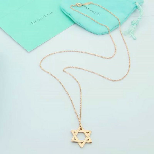 Tiffany Necklace (174)