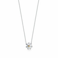 Tiffany Necklace (207)