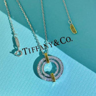 Tiffany Necklace (37)