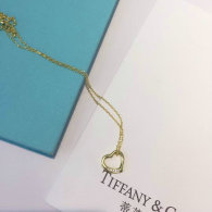 Tiffany Necklace (6)