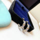 Tiffany Earrings (38)