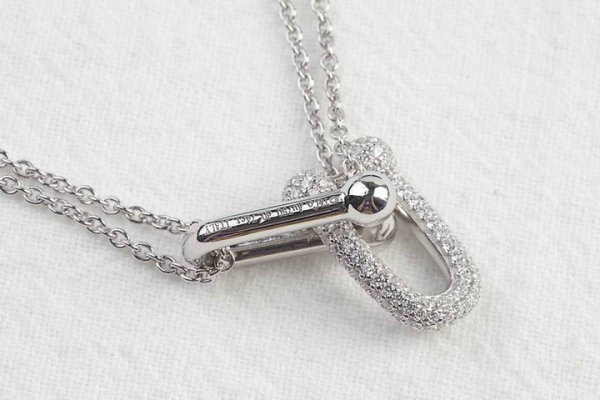 Tiffany Necklace (118)