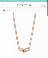 Tiffany Necklace (110)