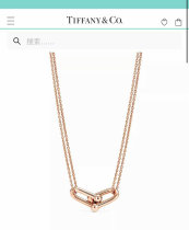 Tiffany Necklace (110)