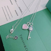 Tiffany Necklace (69)