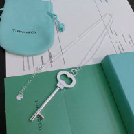 Tiffany Necklace (314)