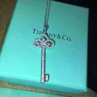 Tiffany Necklace (86)