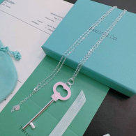 Tiffany Necklace (291)