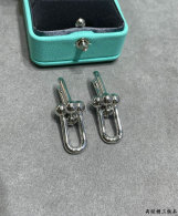 Tiffany Earrings (1)