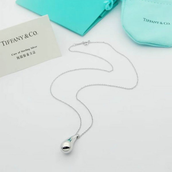 Tiffany Necklace (147)