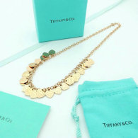 Tiffany Necklace (20)