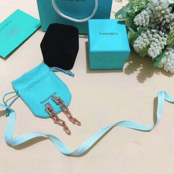 Tiffany Earrings (25)