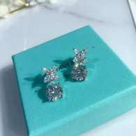 Tiffany Earrings (106)