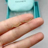 Tiffany Earrings (74)
