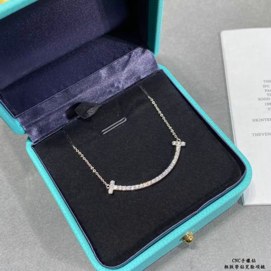 Tiffany Necklace (2)