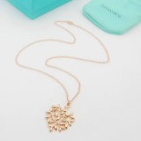 Tiffany Necklace (30)