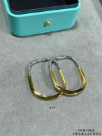 Tiffany Earrings (122)