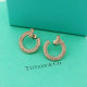 Tiffany Earrings (117)