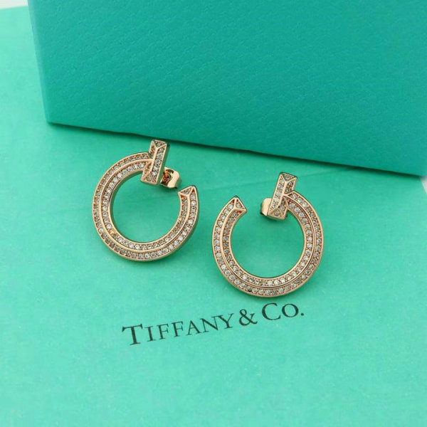 Tiffany Earrings (117)