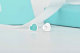 Tiffany Earrings (82)