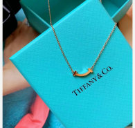 Tiffany Necklace (167)
