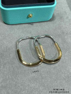 Tiffany Earrings (123)