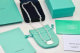 Tiffany Necklace (160)