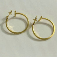 Tiffany Earrings (219)