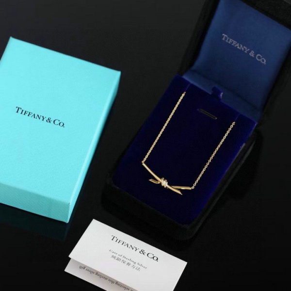 Tiffany Necklace (166)