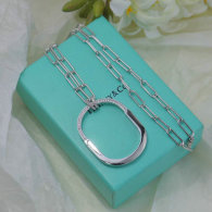 Tiffany Necklace (162)