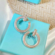 Tiffany Earrings (31)