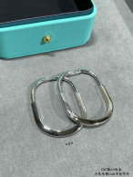 Tiffany Earrings (124)