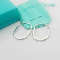Tiffany Earrings (101)