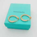 Tiffany Earrings (236)