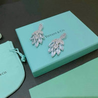 Tiffany Earrings (64)