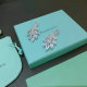 Tiffany Earrings (64)