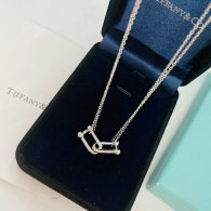 Tiffany Necklace (111)