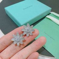 Tiffany Earrings (62)