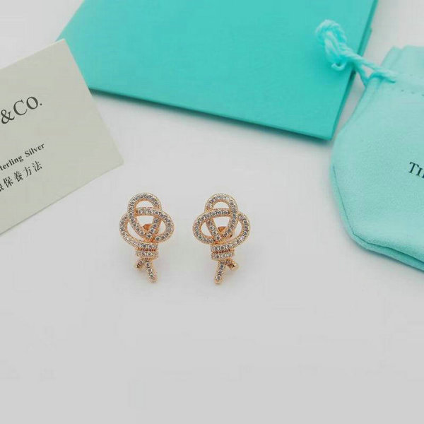Tiffany Earrings (143)