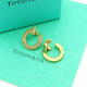 Tiffany Earrings (33)